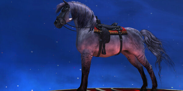 Kiger Silver Horse