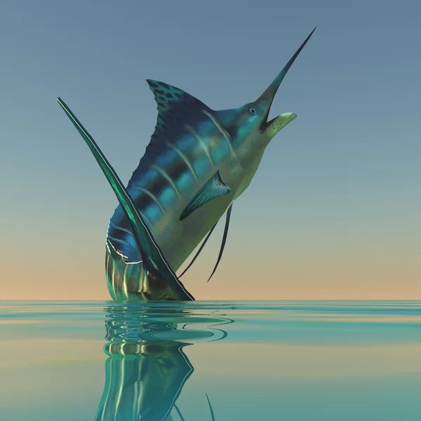 Marlin-Sportfisch — Stockfoto