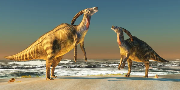 Parasaurolophus 海滩 — 图库照片