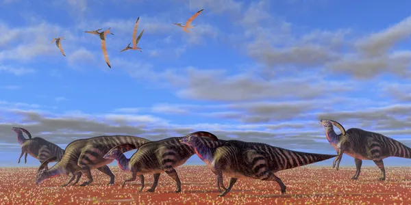 Parasaurolophus Desierto — Foto de Stock