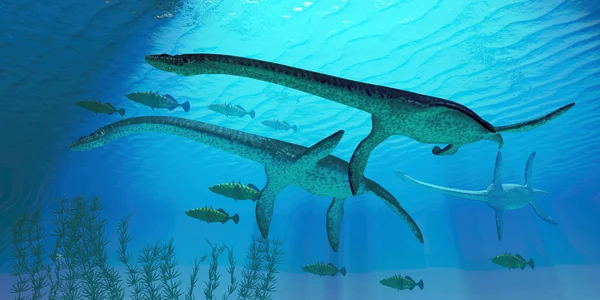 Plesiosauro Migrazione — Foto Stock