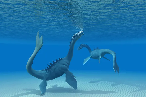 Два морских дракона — стоковое фото