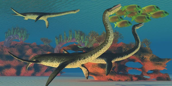 Undersea Plesiosaurus — Stock Photo, Image
