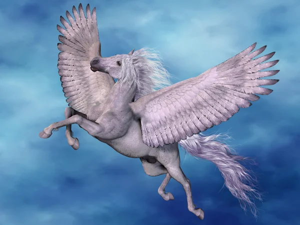 Vit Pegasus — Stockfoto
