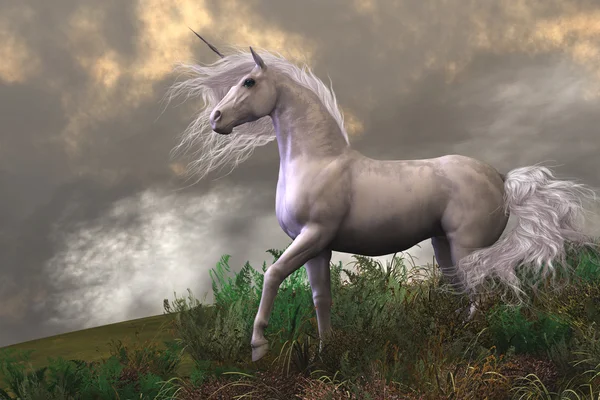 Stallone unicorno bianco — Foto Stock