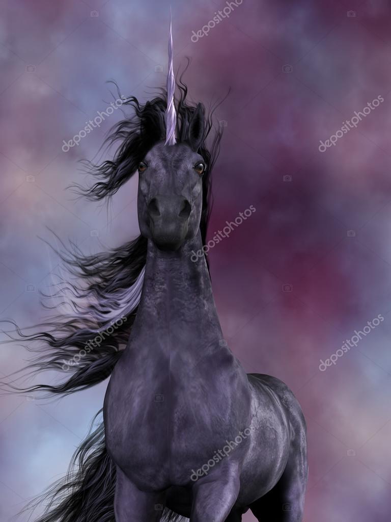 Pmages black unicorn picture Black Unicorn — Stock Photo © CoreyFord