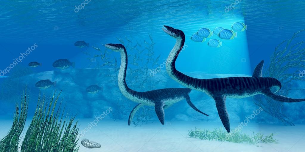 Plesiosaurier Stockfotografie lizenzfreie Fotos © CoreyFord 29656283