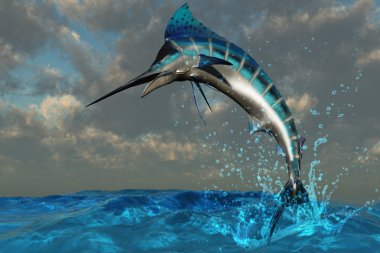 Mavi marlin splash