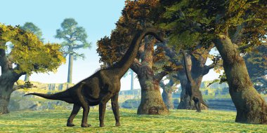 Brachiosaurus orman