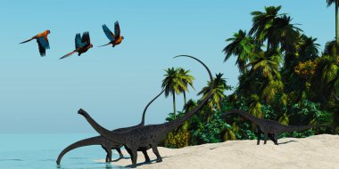 Diplodocus içme