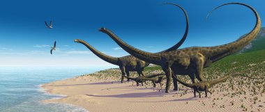 Diplodocus sürüsü