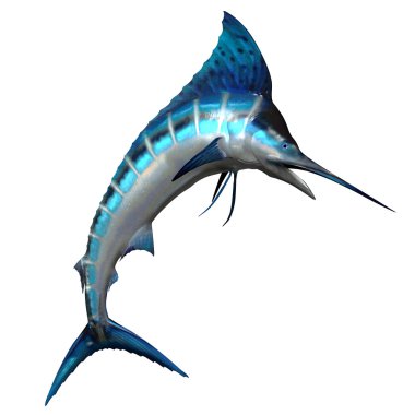 Marlin yan profili