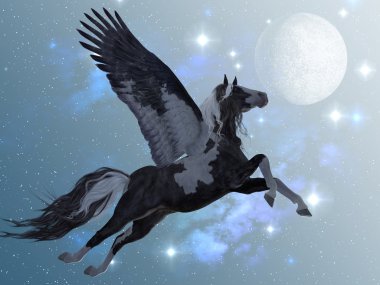 Pegasus uçuş