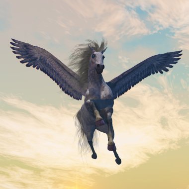Pegasus erkek