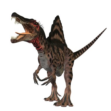 Spinosaurus profili
