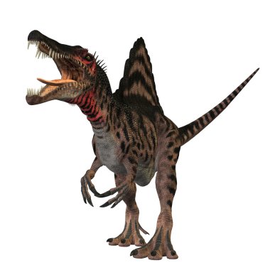 Spinosaurus Profile clipart