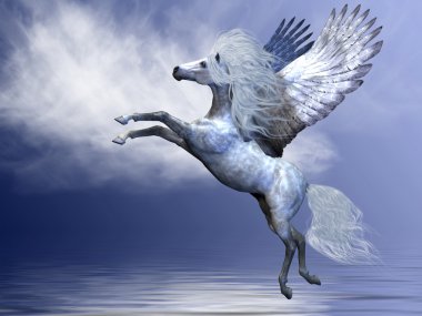 Beyaz Pegasus