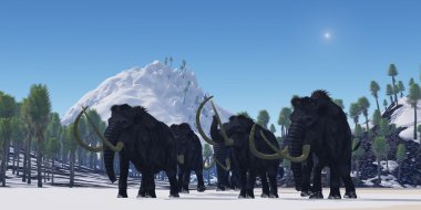 yünlü mammoth