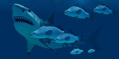 köpekbalığı Megalodon
