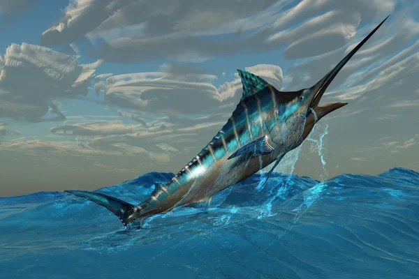 Salto di Marlin blu — Foto Stock
