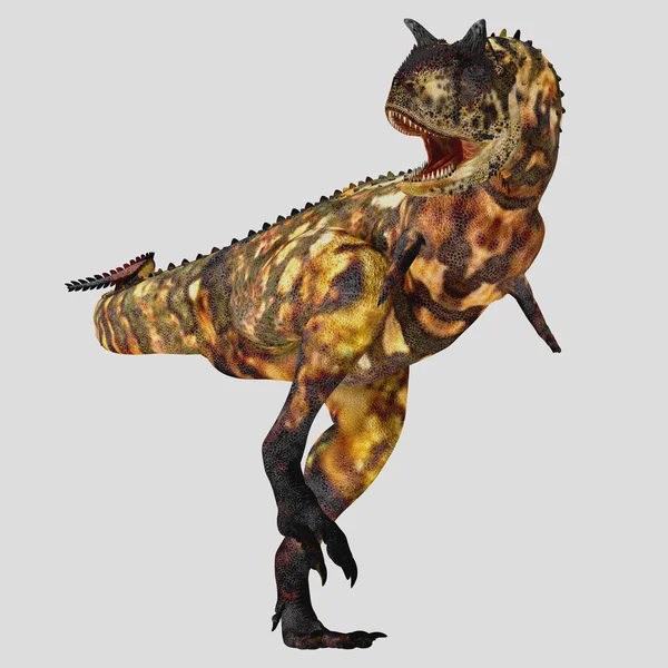 Perfil de Carnotaurus — Foto de Stock