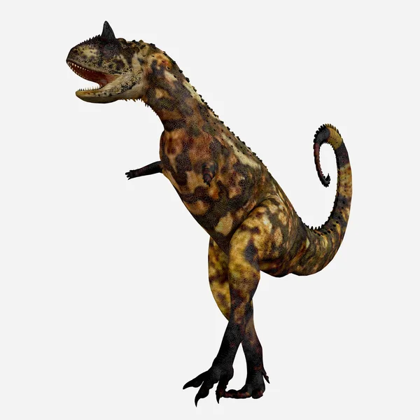 Carnotaurus — стокове фото