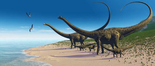Rebaño de Diplodocus — Foto de Stock