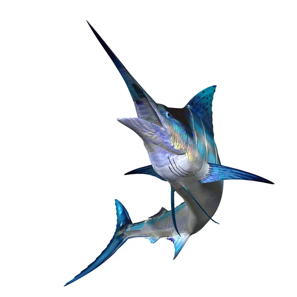 Marlin Profile — Stock Photo, Image