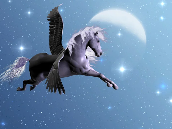 Starlight Pegasus — Zdjęcie stockowe