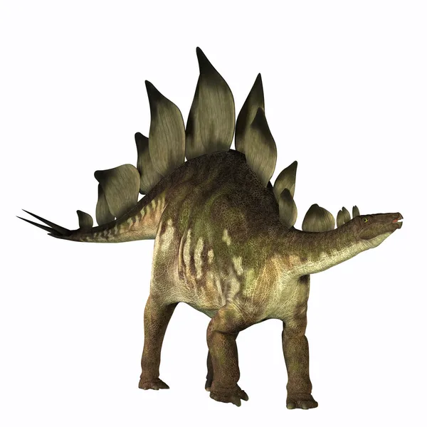 Perfil de Stegosaurus — Foto de Stock