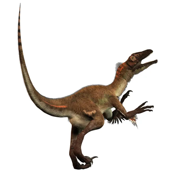 A Utahraptor hiányos — Stock Fotó