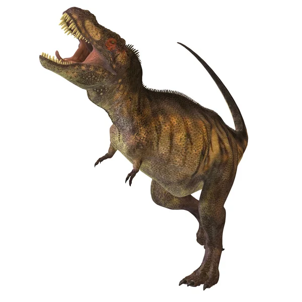 Tyrannosaurus Rex Profile — Stock Image Tyrannosaurus Rex Profile Stock Photo