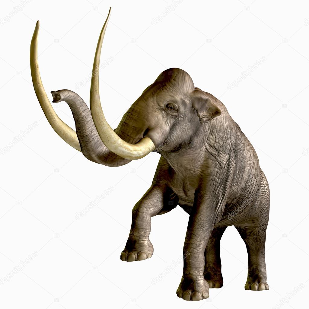 Columbian Mammoth