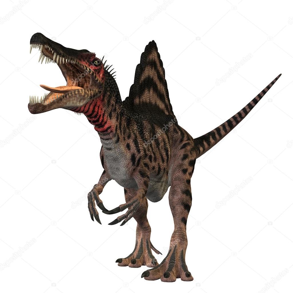 Spinosaurus Profile