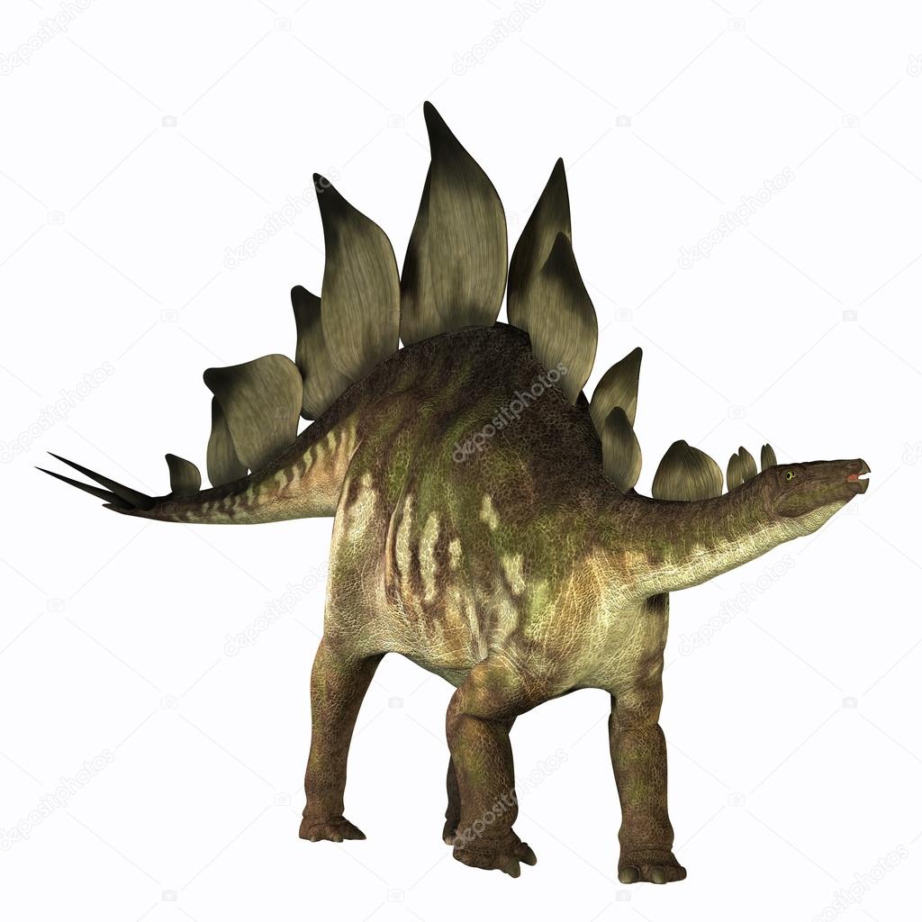 Stegosaurus Profile