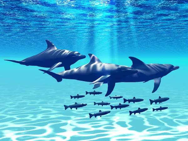 Dolphin spela — Stockfoto