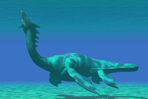 Морской дракон — стоковое фото