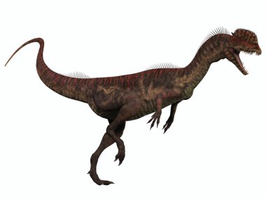 Dilophosaurus beyaz