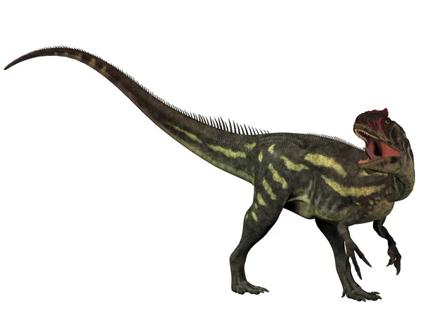 Az Allosaurus elszigetelt — Stock Fotó