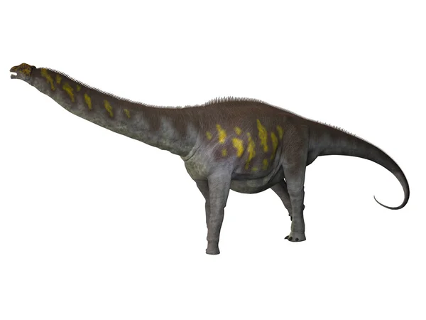 화이트에 Argentinosaurus — 스톡 사진