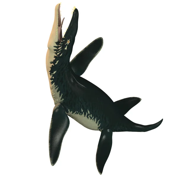 Liopleurodon biały — Zdjęcie stockowe