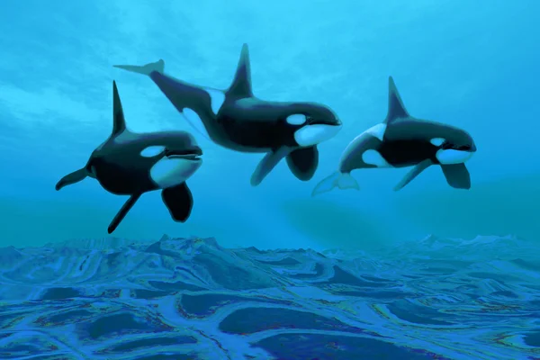 Mundo das Baleias — Fotografia de Stock