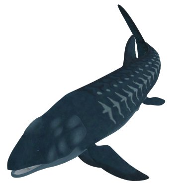 leedsichthys balık beyaz