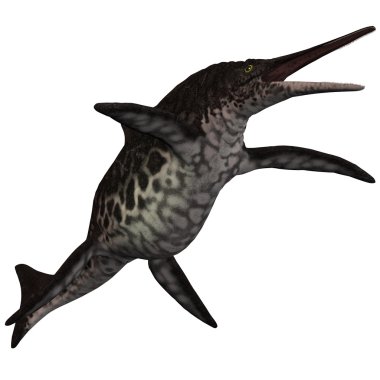 shonisaurus icthyosaur beyaz