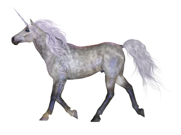 Unicorn on White — Stock Photo, Image