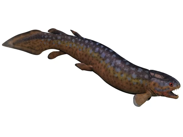 Rhizodus ryb na bílém pozadí — Stock fotografie