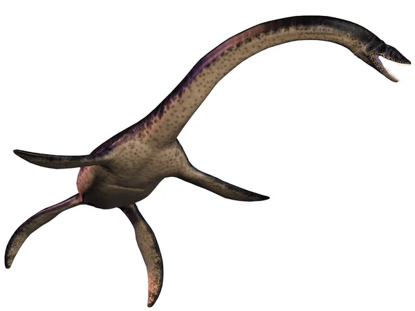 Plesiosaurus på vit — Stockfoto