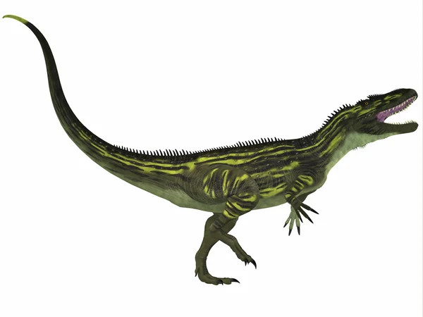 Torvosaurus на білому — стокове фото