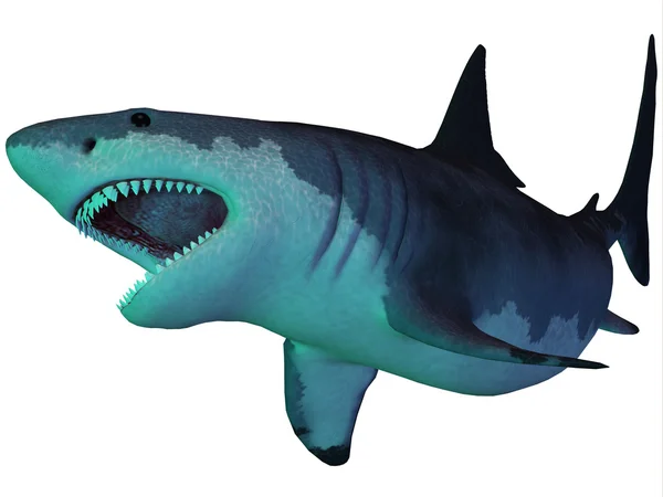 Megalodon-Hai unter Wasser — Stockfoto