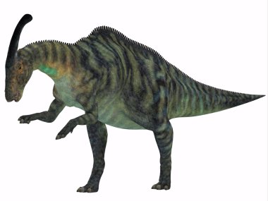 parasaurolophus dinozor beyaz